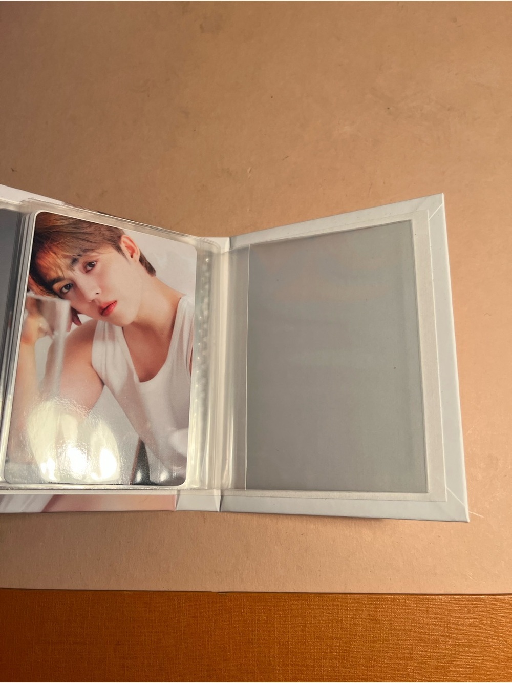 17 Is right here cast s.coups mini card holder - K- POP - Picture 3 of 6